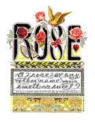 Rose